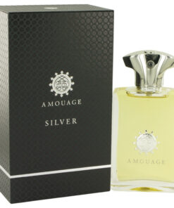Amouage Silver Eau De Parfum Spray 3.4 Oz For Men